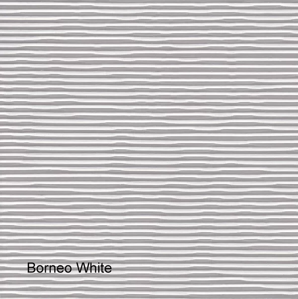 Borneo White