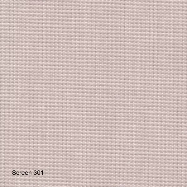 Screen 301