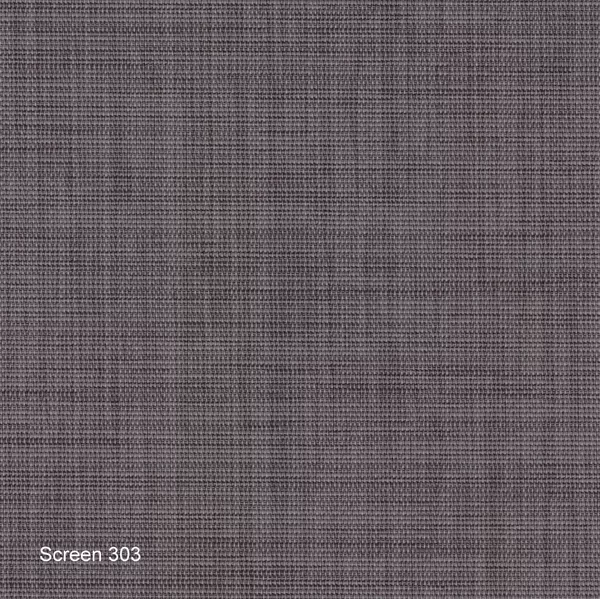 Screen 303